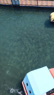 Top-Down View of Pedalo Boats on Clear Blue Water Wallpaper