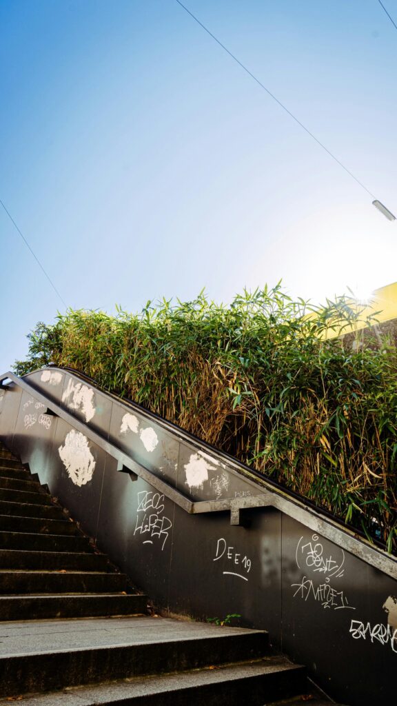 Urban Staircase with Bamboo and Graffiti Street Aesthetic Phone Wallpaper