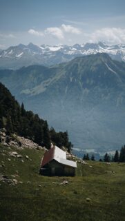 Rustic Mountain Cabin High Alpine Meadow 4K Phone Wallpaper