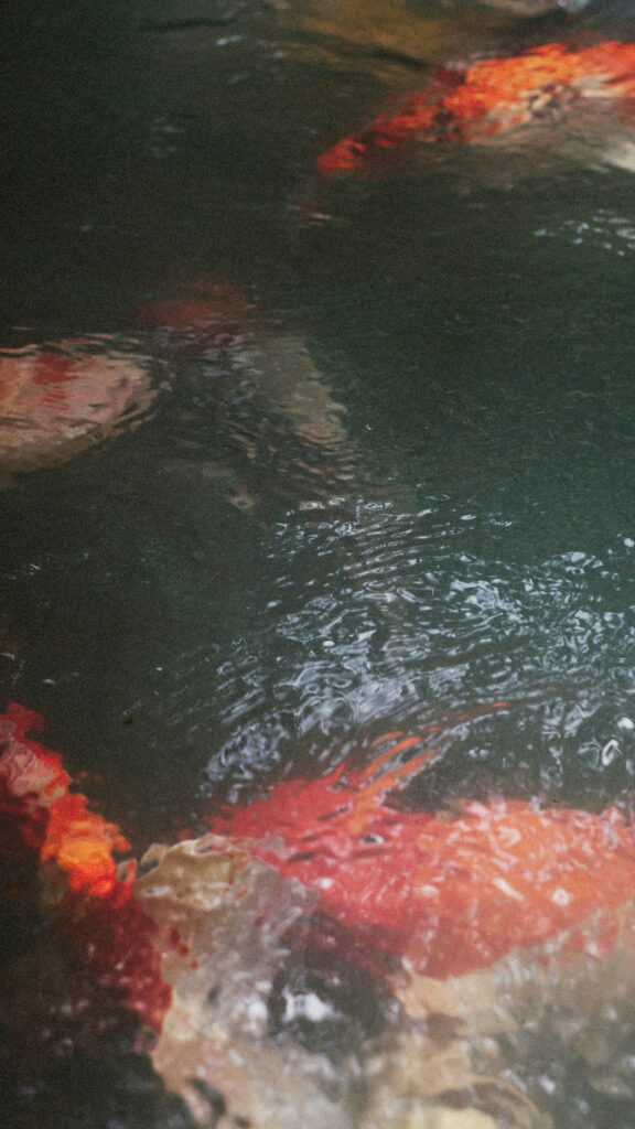 Dreamy Pisces Zodiac Sign Water Reflection Aesthetic Phone Wallpaper