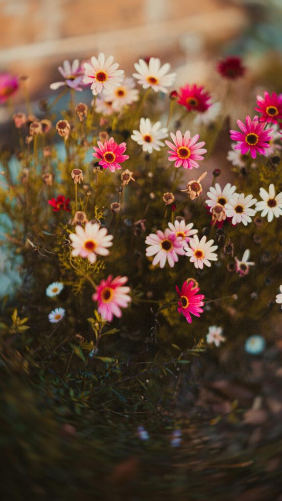 Vibrant Wildflower Meadow Aesthetic for Your Phone Wallpaper