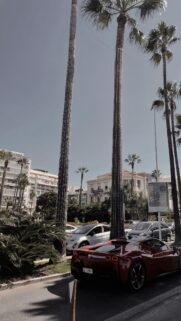Red Ferrari Supercar Under Tropical Palms in Cannes Phone Wallpaper