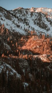 Stunning Golden Hour Mountain Peaks with Forest Trees Mobile Wallpaper