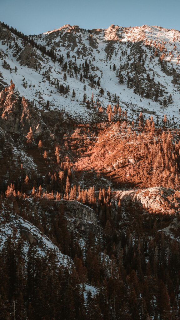 Stunning Golden Hour Mountain Peaks with Forest Trees Mobile Wallpaper