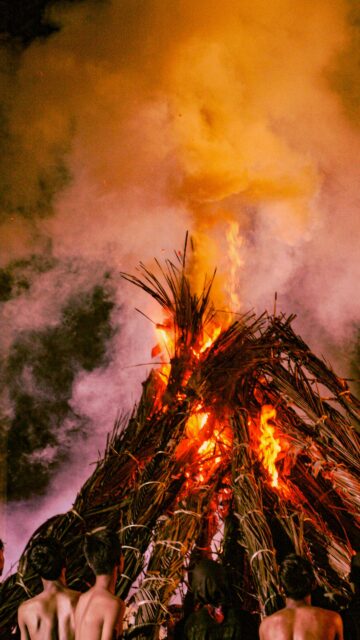 Dramatic Ritual Bonfire with Flaming Palm Leaves Phone Wallpaper