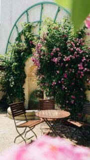 Romantic Garden Cafe Scene with Pink Flowers Phone Wallpaper