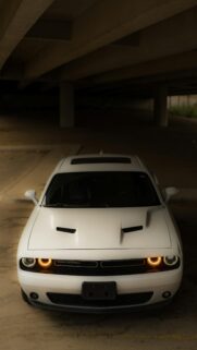 Aggressive White Dodge Challenger Front View Mobile Wallpaper