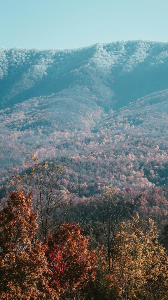 Stunning Autumn Mountain Forest Landscape Phone Wallpaper