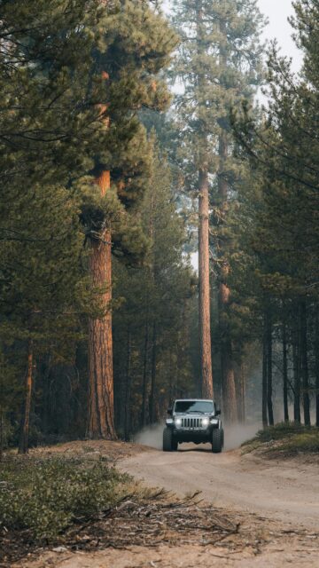 Rugged Jeep Wrangler Driving Through a Misty Pine Forest Wallpaper