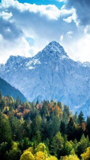 Majestic Alpine Peak Forest Autumn Scenery Mobile Wallpaper