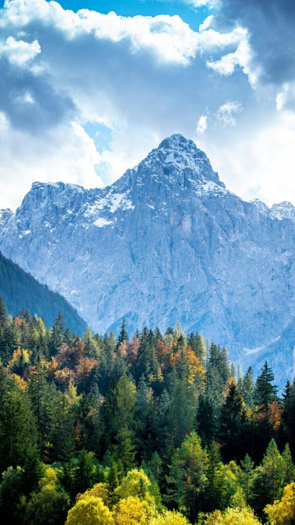 Majestic Alpine Peak Forest Autumn Scenery Mobile Wallpaper