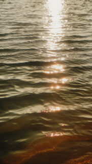 Ethereal Pisces Water Energy Spiritual and Zodiac Sign Wallpaper