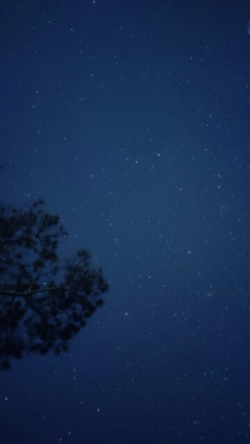 Celestial Stargazing Night Sky Spiritual Aesthetic Phone Wallpaper