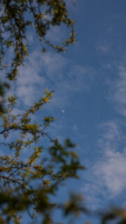 Mystical First Quarter Moon Spiritual Energy Aesthetic Wallpaper