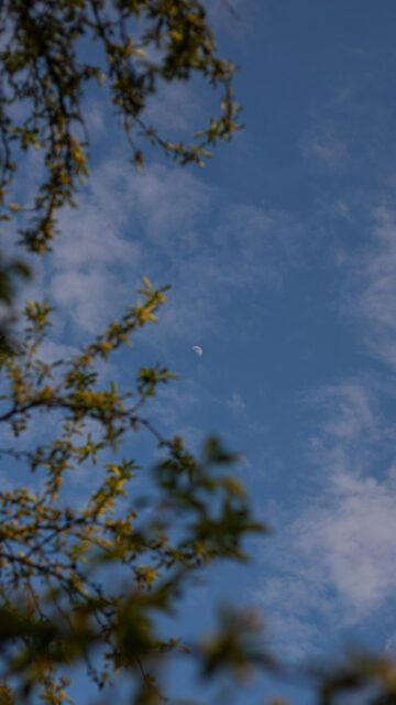 Mystical First Quarter Moon Spiritual Energy Aesthetic Wallpaper