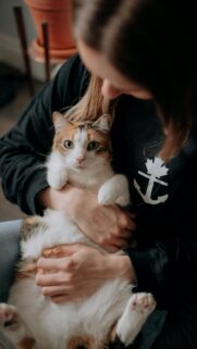 Cozy Moment with a Calico Cat Holding in Owner Arms Wallpaper
