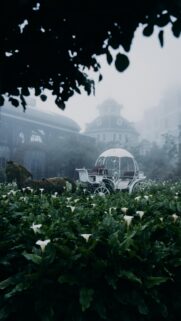 Enchanting Fairy Tale Carriage in Misty Flower Garden Wallpaper