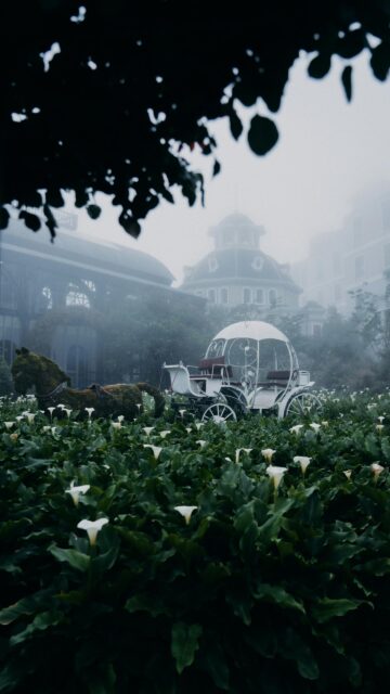 Enchanting Fairy Tale Carriage in Misty Flower Garden Wallpaper