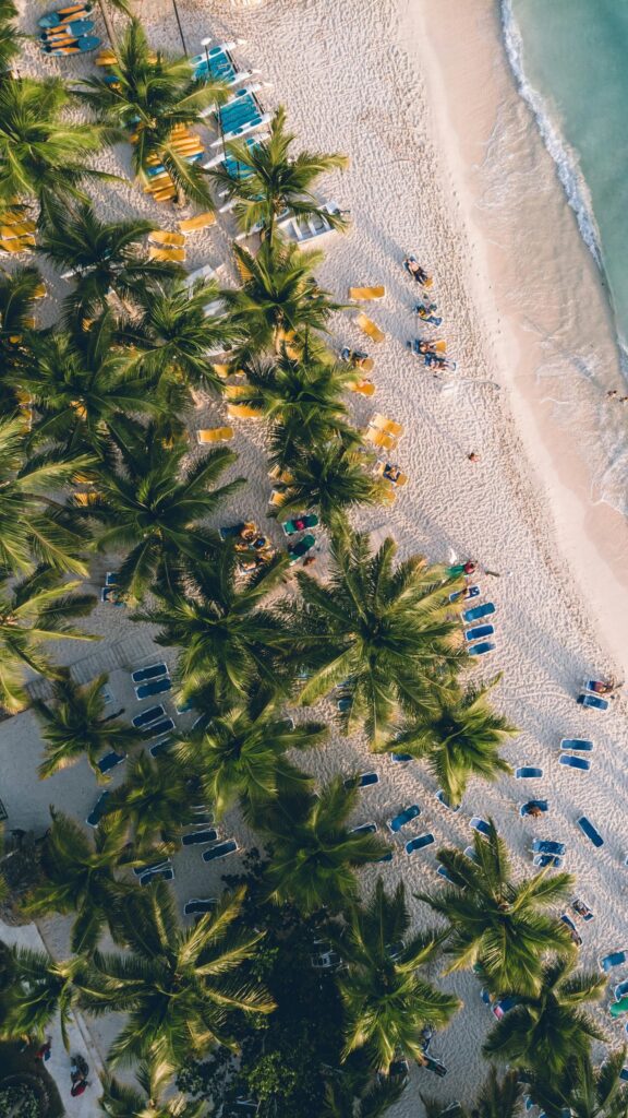 Stunning Tropical Beach Aerial View with Palm Trees Mobile Wallpaper