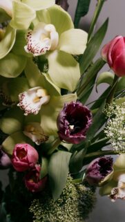 Stunning Floral Bouquet with Green Orchids and Purple Tulips Mobile Wallpaper