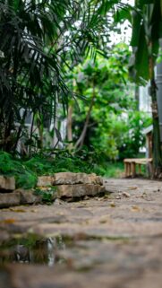 Lush Garden Stone Path and Reflection Nature Mobile Wallpaper