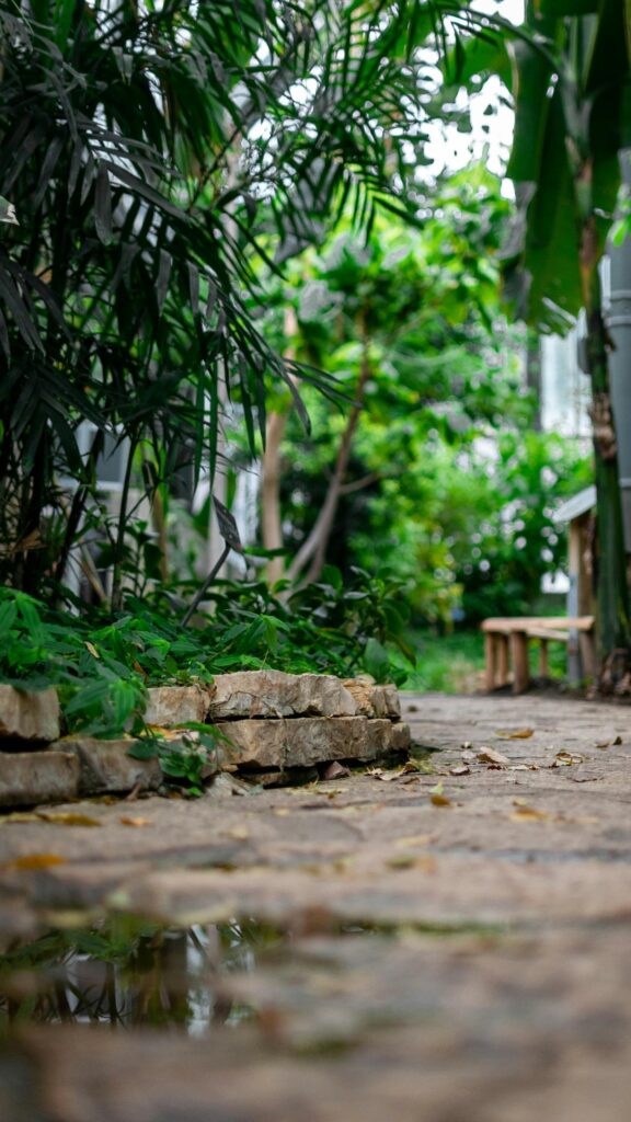 Lush Garden Stone Path and Reflection Nature Mobile Wallpaper