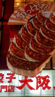 Giant Gyoza Dumpling Street Sign in Osaka Japan Wallpaper