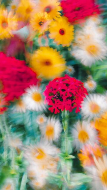 Vibrant Floral Field Impressionist Garden Aesthetic Phone Wallpaper