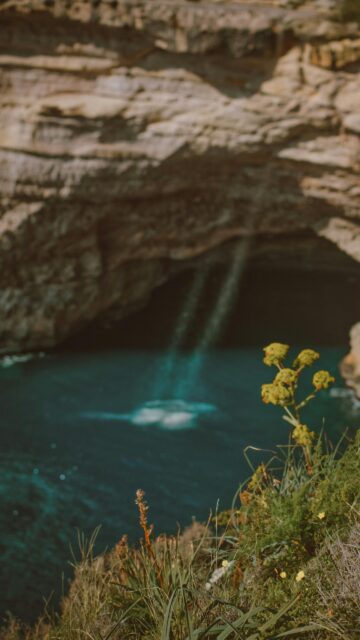 Dramatic Cliffside Waterfall and Coastal Flora Mobile Wallpaper