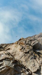 Soaring Eagle Over Majestic Rocky Mountain Peak Mobile Wallpaper