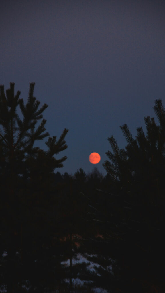 Red Moon Spiritual Glow Under Forest Trees Aesthetic Wallpaper