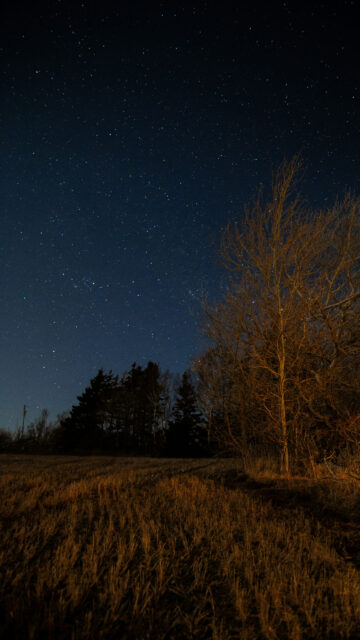 Cosmic Night Sky and Celestial Stargazing Spiritual Aesthetic Wallpaper