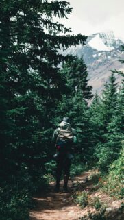 Adventurous Hiker Walking Through Pine Forest towards Snow Capped Mountains Wallpaper