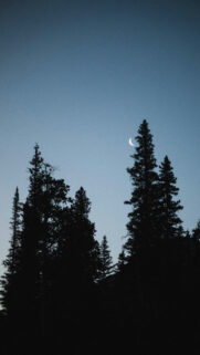 Crescent Moon Phase Spiritual Energy Aesthetic Phone Wallpaper