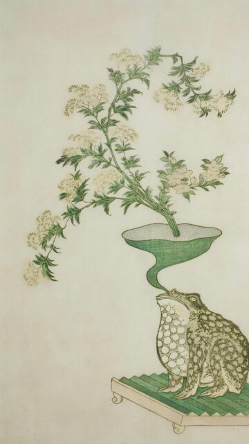 Surreal Japanese Toad and Floral Ikebana Art Wallpaper
