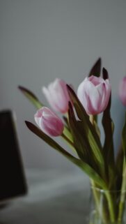 Elegant Pink Tulip Floral Aesthetic Phone Wallpaper