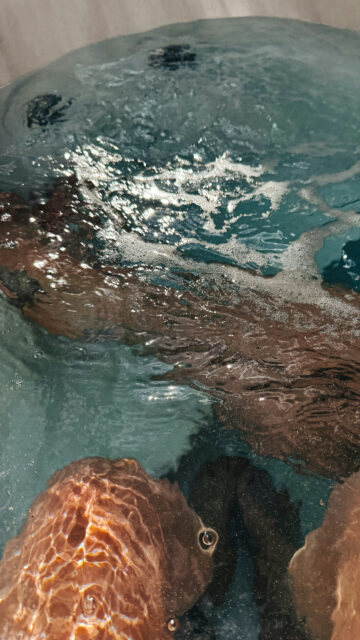 Pisces Dreamy Water Aesthetic Zodiac Symbolism HD Phone Wallpaper