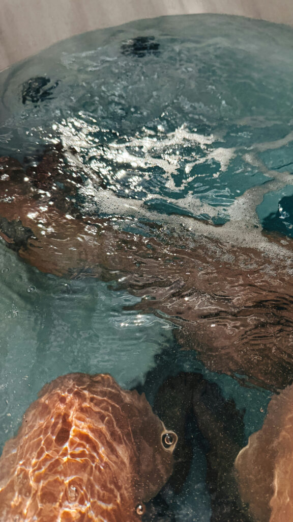Pisces Dreamy Water Aesthetic Zodiac Symbolism HD Phone Wallpaper