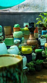 Stunning Array of Vibrant Ceramic Plant Pots for Your Phone Wallpaper
