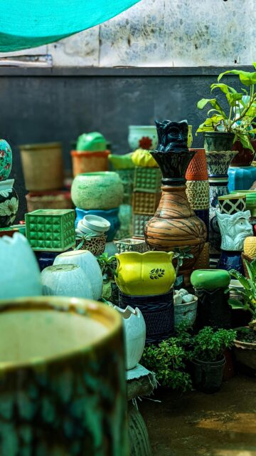 Stunning Array of Vibrant Ceramic Plant Pots for Your Phone Wallpaper
