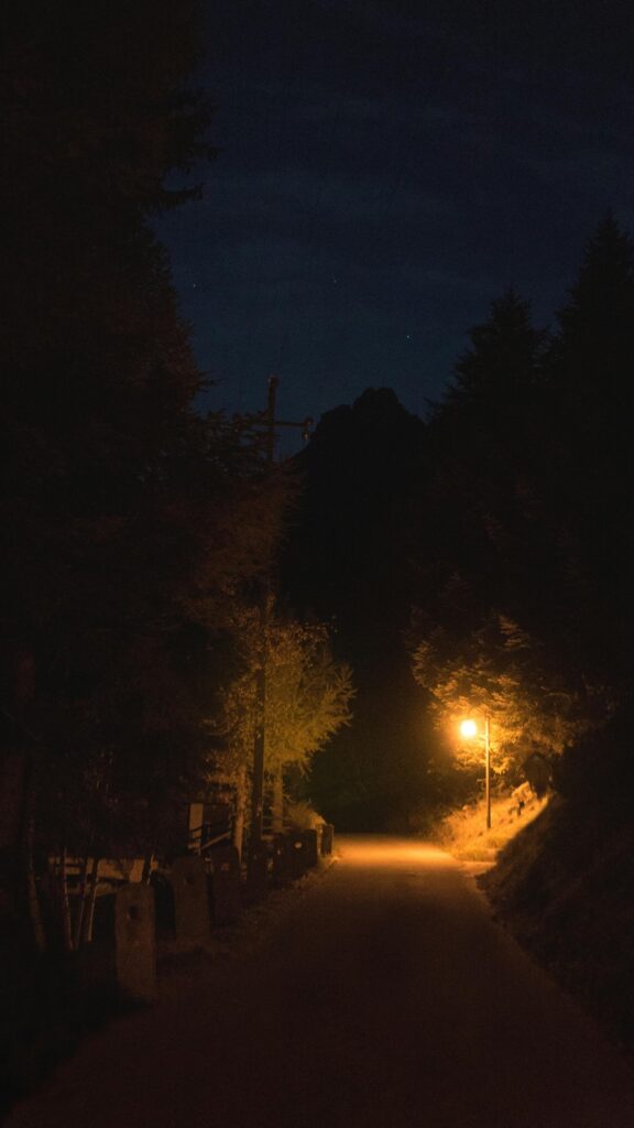 Enigmatic Night Forest Path with Glowing Streetlight Mobile Wallpaper