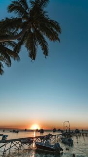 Tropical Sunset Ocean Pier Mobile Wallpaper
