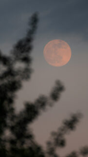 Ethereal Full Moon Spiritual Manifestation Energy Phone Wallpaper