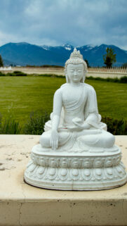 Zen Buddha Meditation Energy for Mindfulness Spiritual Desktop Wallpaper