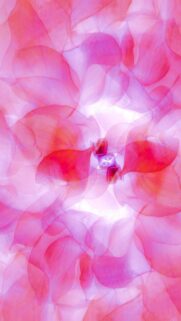 Ethereal Pink Abstract Petal Layers Art Mobile Wallpaper