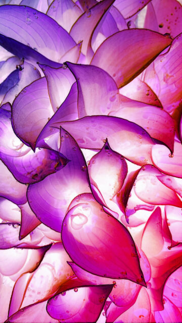 Crown Chakra Energy Healing and Spiritual Radiance Wallpaper