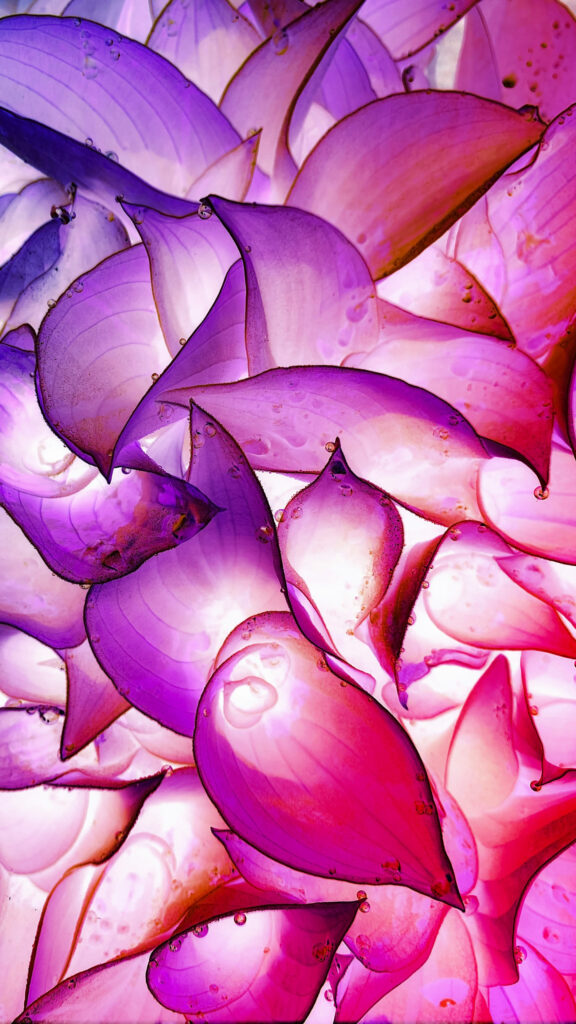 Crown Chakra Energy Healing and Spiritual Radiance Wallpaper