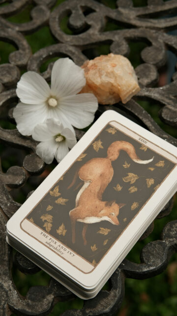 The Fox and Ivy Tarot Card Meaning and Spiritual Adaptability Wallpaper