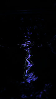 Intense Scorpio Zodiac Water Energy Aesthetic Phone Wallpaper