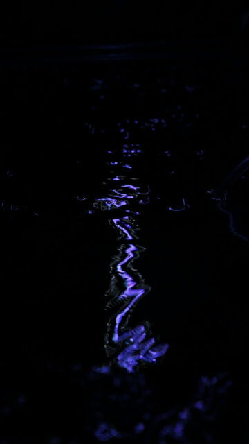 Intense Scorpio Zodiac Water Energy Aesthetic Phone Wallpaper